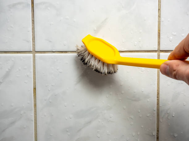 Best Mold Testing  in Pittston, PA