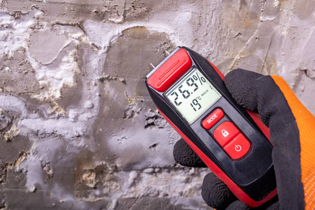 Best Mold Remediation  in Pittston, PA