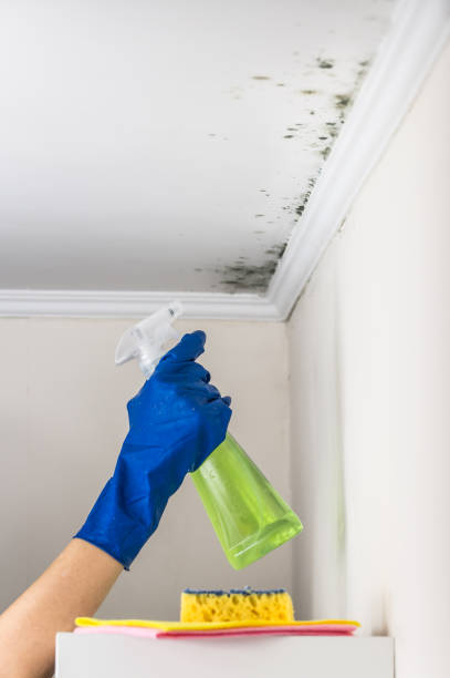 Water Damage Restoration in Pittston, PA